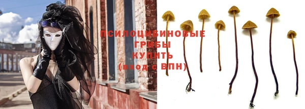 индика Абинск