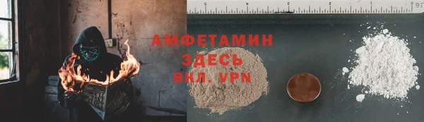 индика Абинск