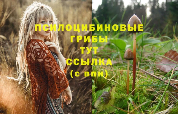 индика Абинск