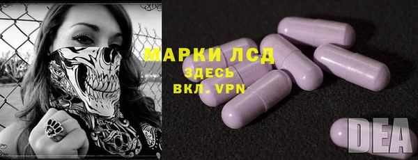 индика Абинск