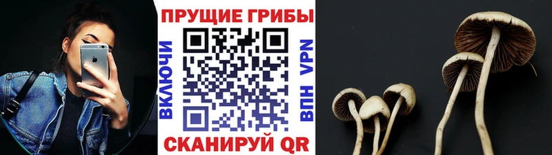 Галлюциногенные грибы MAGIC MUSHROOMS Азнакаево